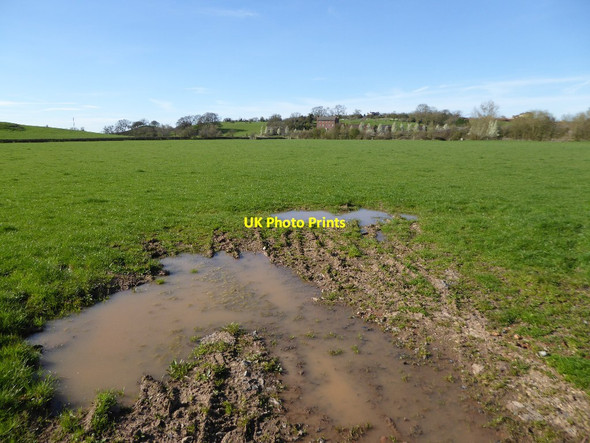 Photo 6"x4" Farmland at Chaceley Chaceley Hole c2017