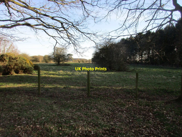 Photo 6"x4" The edge of Heslington Tillmire Crockey Hill c2017