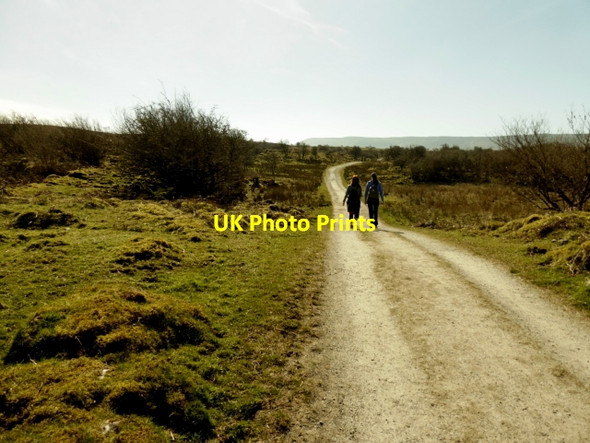 Photo 6"x4" Walkers, Cuilcagh Legnabrocky Trail Moneygashel c2017