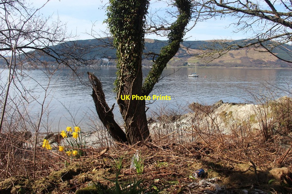 Photo 6"x4" Shore of Loch Long Cove\/NS2282 c2017