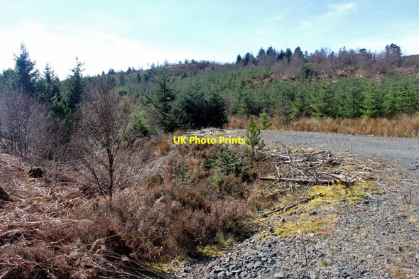 Photo 6"x4" Forestry access point near Coulport Mambeg c2017