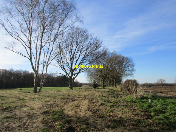 Photo 6"x4" Bridleway to Heslington Crockey Hill c2017