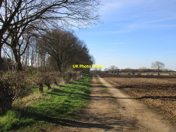 Photo 6"x4" Bridleway to Heslington Crockey Hill c2017 P1