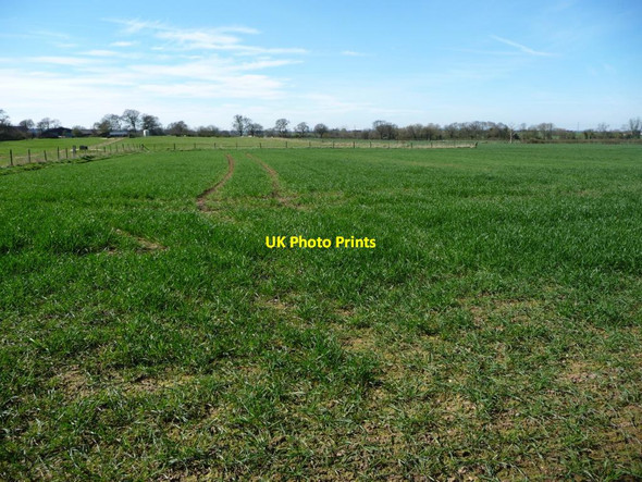 Photo 6"x4" Farmland north-east of Syerscote Manor Borough Park c2017