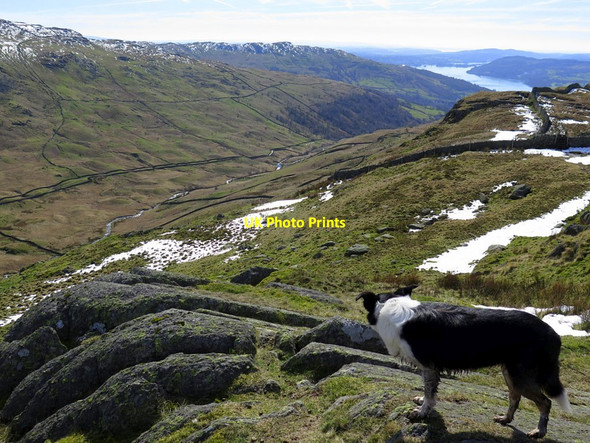 Photo 6"x4" Rocky ridge above Low Pike Rydal c2017