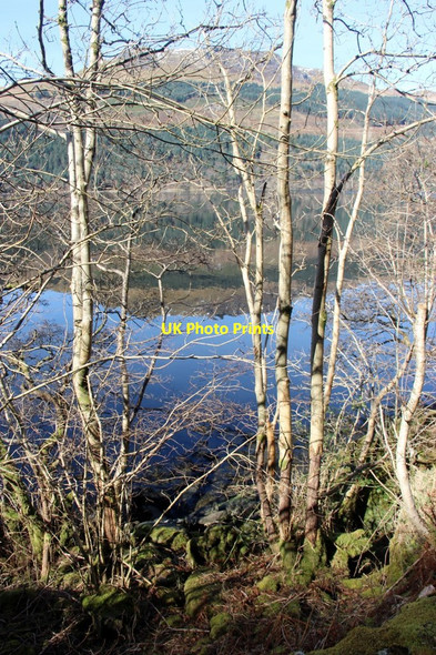 Photo 6"x4" Reflections on Loch Long Craggan Hill\/NS2698 c2017