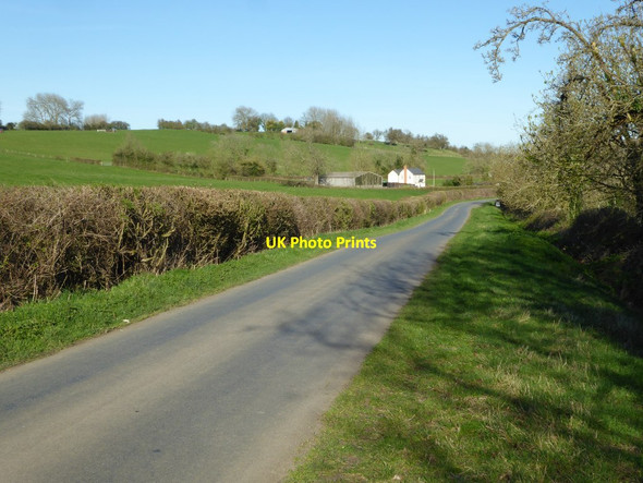 Photo 6"x4" Country road at Corse Wood Hill Wickridge Street c2017