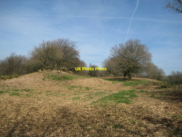 Photo 6"x4" Humps, lumps and ridges Lower Cheriton c2017