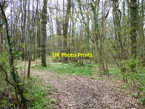 Photo 6"x4" Roughstocks Wood Stone Cross\/TR0236 c2017