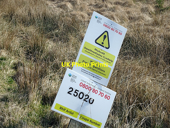 Photo 6"x4" Warning of forestry operations Llyn Dwfn c2017