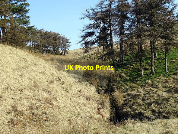 Photo 6"x4" A small valley above Anglers' Retreat New Pool\/SN7492 c2017
