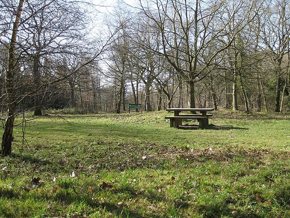 Photo 6"x4" Picnic area, Haugh Wood Broadmoor Common c2009