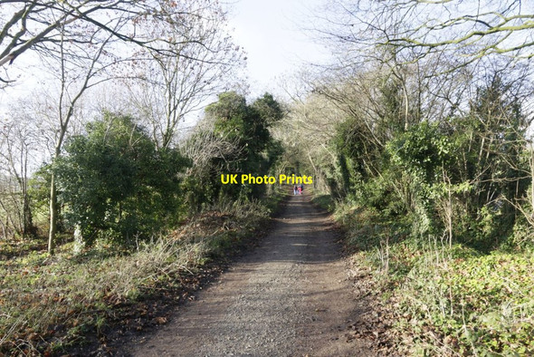 Photo 6"x4" Walking up the Ridgeway Westridge Green c2017