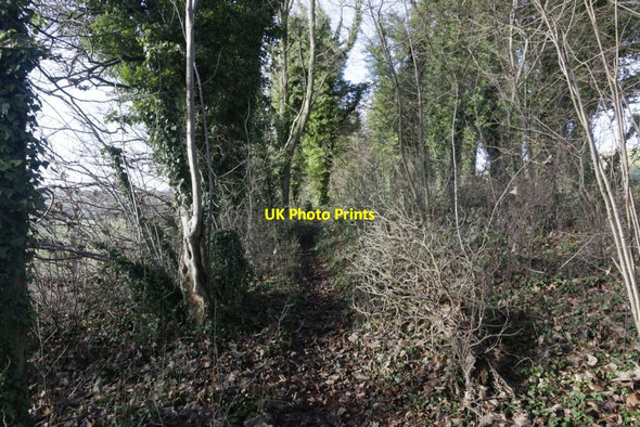 Photo 6"x4" Another Path Aldworth c2017