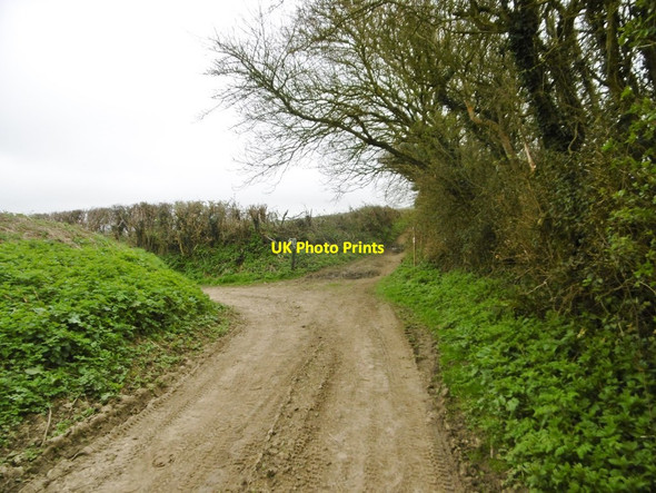 Photo 6"x4" Symondsbury, road junction Moorbath c2017