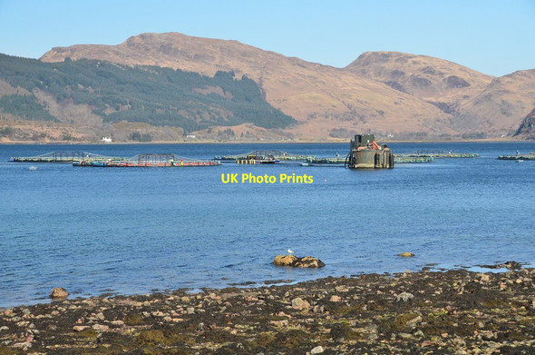 Photo 6"x4" Fish farm, Camas nan Gall Ardintoul c2017