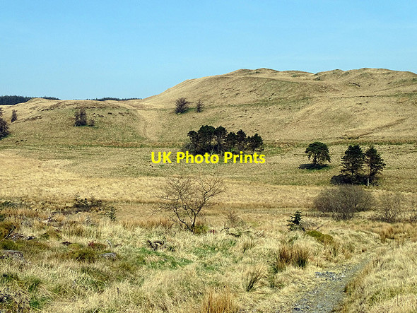 Photo 6"x4" Hills above Anglers' Retreat New Pool\/SN7492 c2017