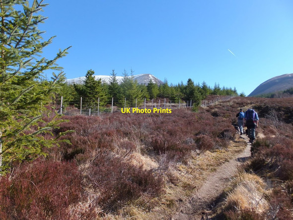 Photo 6"x4" Path by the forest's edge near Garbat Garbat c2017