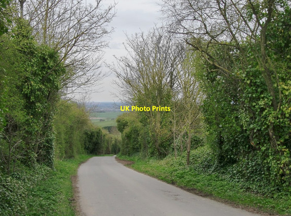 Photo 6"x4" Woodway Road: towards Blewbury Woodway c2017