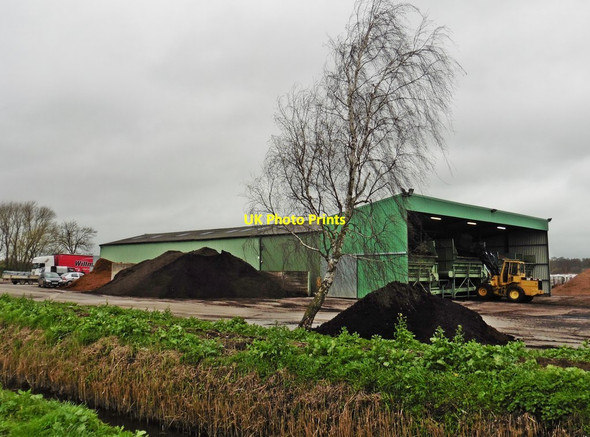 Photo 6"x4" Peat Works, Walton Heath Street\/ST4836 c2017