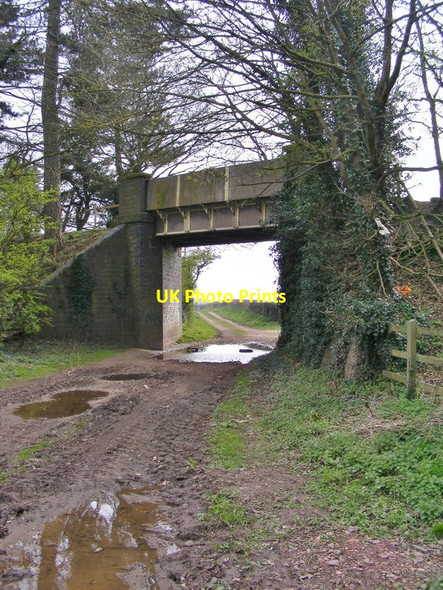 Photo 6"x4" Track View Himley c2017