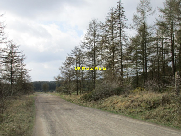 Photo 6"x4" Brown Howe Road Stape c2017