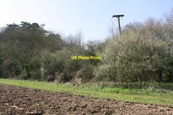 Photo 6"x4" Hedgerow beside ploughed field at end of electricity line Exlade Street c2017