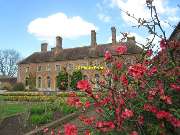 Photo 6"x4" The Strode at Barrington Court Barrington\/ST3818 c2017