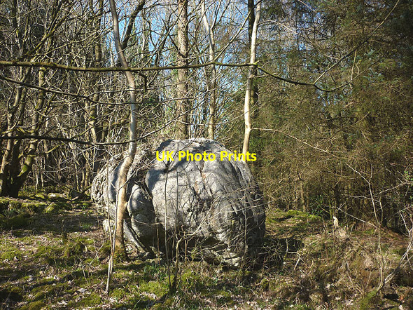 Photo 6"x4" Limestone boulder, Warton Crag Crag Foot c2017