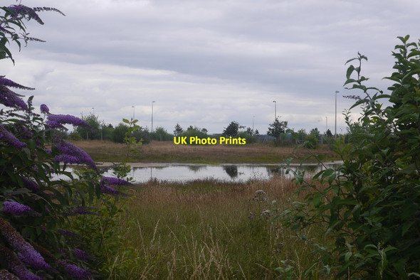 Photo 6"x4" Undeveloped plot, Western Harbour Newhaven\/NT2577 c2016