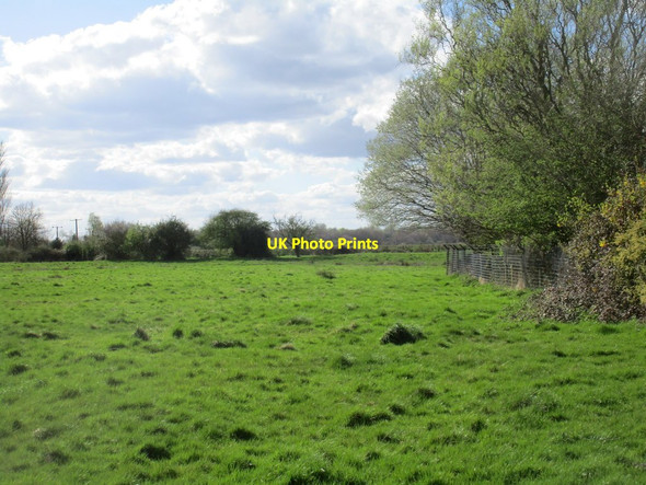 Photo 6"x4" Field by Barlow Hall Barlow\/SE6428 c2017