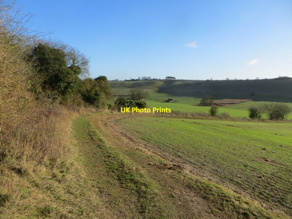 Photo 6"x4" Bend on the Field Boundary Aldworth c2017