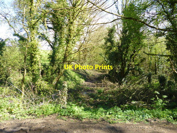 Photo 6"x4" Bed of Dorset and Somerset Canal, Conduit Bridge Buckland Down\/ST7251 c2017