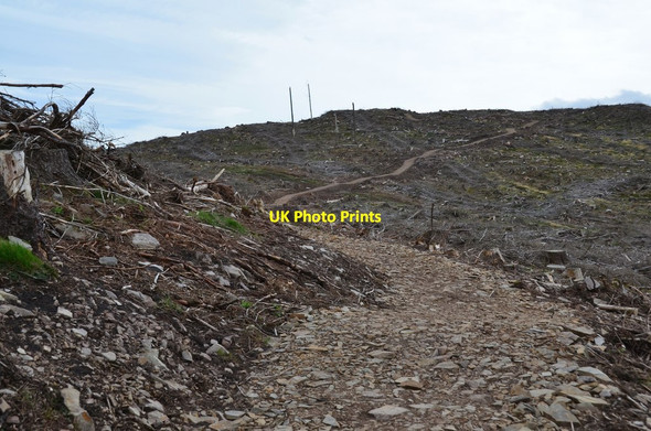 Photo 6"x4" New path to Cademuir summit (2) Bellanrigg c2017
