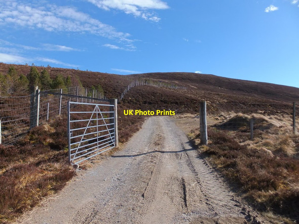 Photo 6"x4" Gate on track below Little Wyvis Strath Garve \/ Srath Gairbh c2017