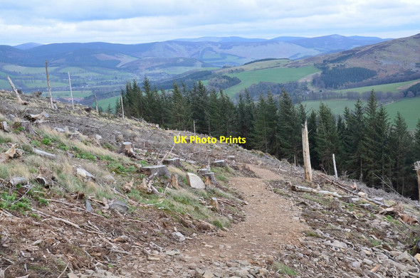 Photo 6"x4" New path descending from Cademuir summit Bellanrigg c2017