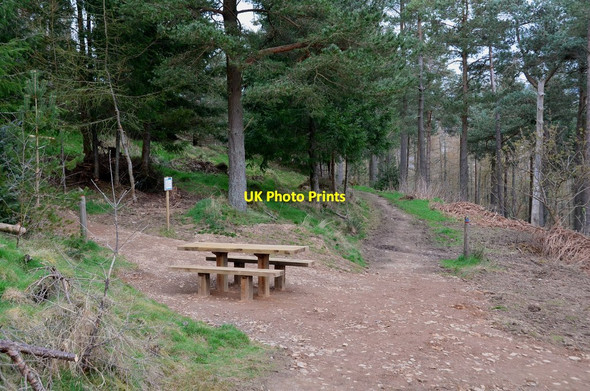 Photo 6"x4" New picnic table, Cademuir Forest Peebles\/NT2540 c2017