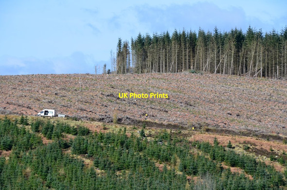 Photo 6"x4" Planting trees on Dod Hill Rigg c2017