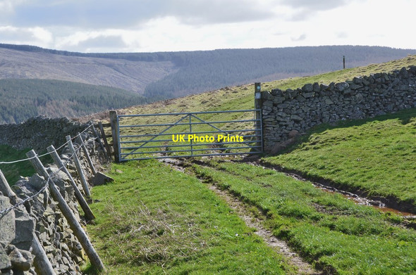 Photo 6"x4" Gate and track on Damhead Rig Rigg c2017