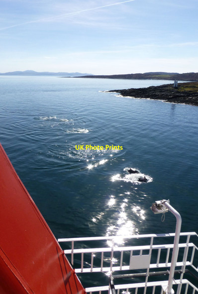 Photo 6"x4" Dolphins greet the arrival of the Calmac ferry  Scalasaig c2017