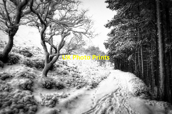 Photo 6"x4" Track around Carn nan Sgliat Castleton\/NO1591 c2017
