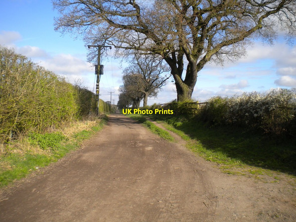 Photo 6"x4" Track on Violet Hill Arnold\/SK5945 c2017