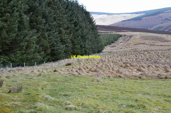 Photo 6"x4" Boggy moorland by the plantation, Curly Moor Paddock Burn c2017