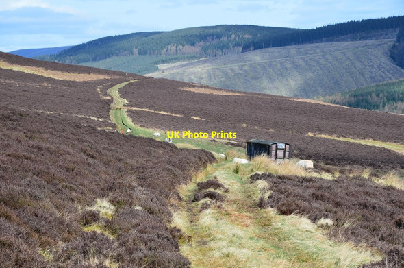 Photo 6"x4" Track contouring Damhead Rig Rigg c2017