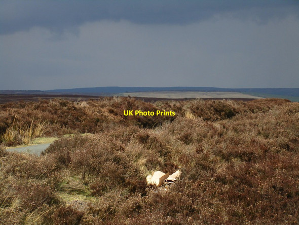 Photo 6"x4" Egton High Moor Key Green\/NZ8004 c2017