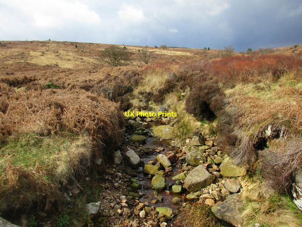 Photo 6"x4" Collier Gill Goathland c2017