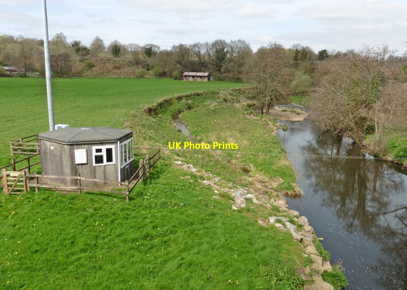 Photo 6"x4" River Otter Alfington c2017