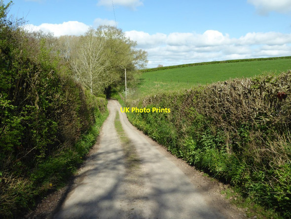 Photo 6"x4" North through road Cwmcarvan c2017