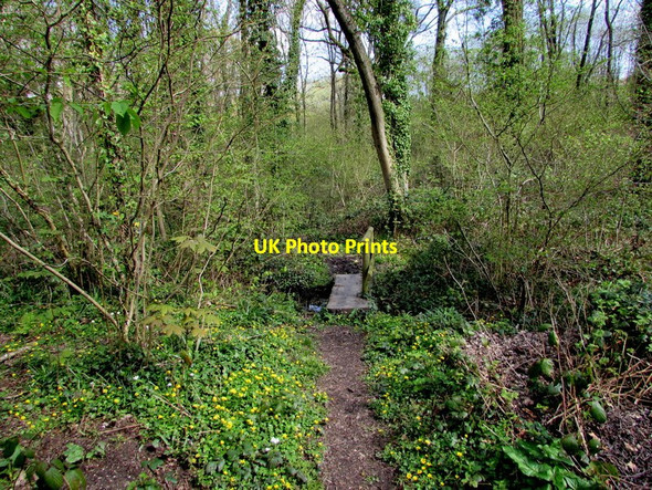 Photo 6"x4" Small footbridge over a brook in Bath Wood, Cwmbran Cwmbran\/Cwmbr\u00e2n c2017