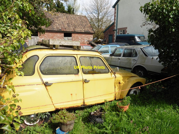 Photo 6"x4" Car graveyard at Truances Alfington c2017